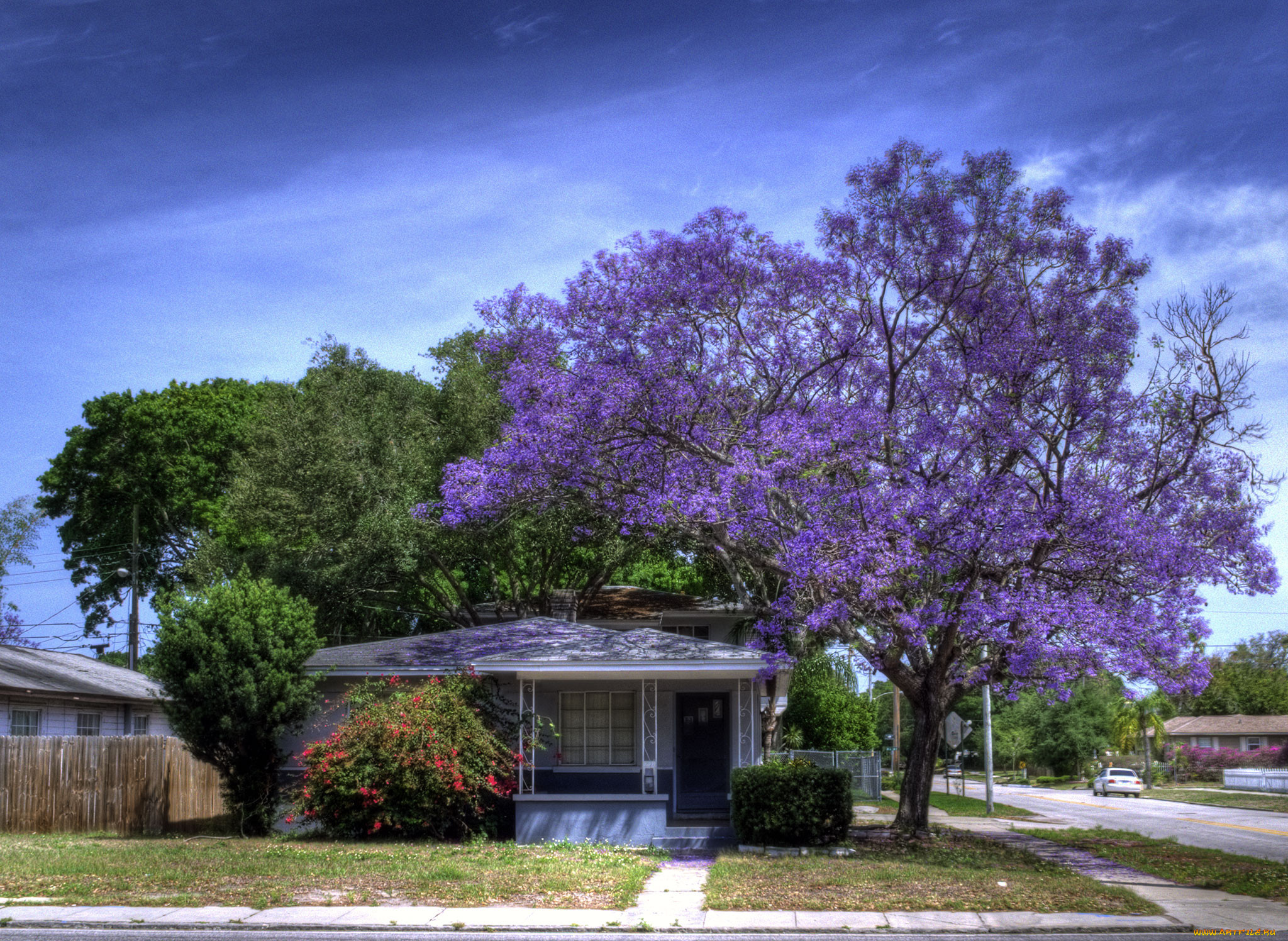 st, petersburg, , , , florida
